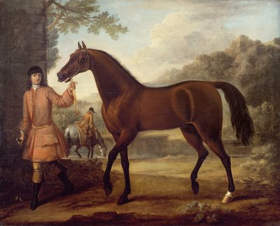 The Godolphin Arabian by John Wootton